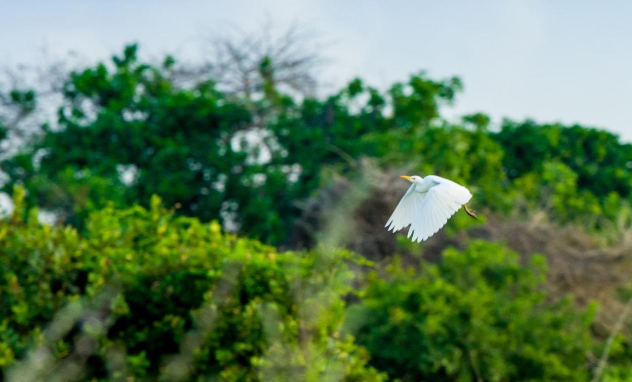 Tamba Kuruba Eco-Lodge Folonko Экстерьер фото